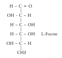 www.bioline.org.br